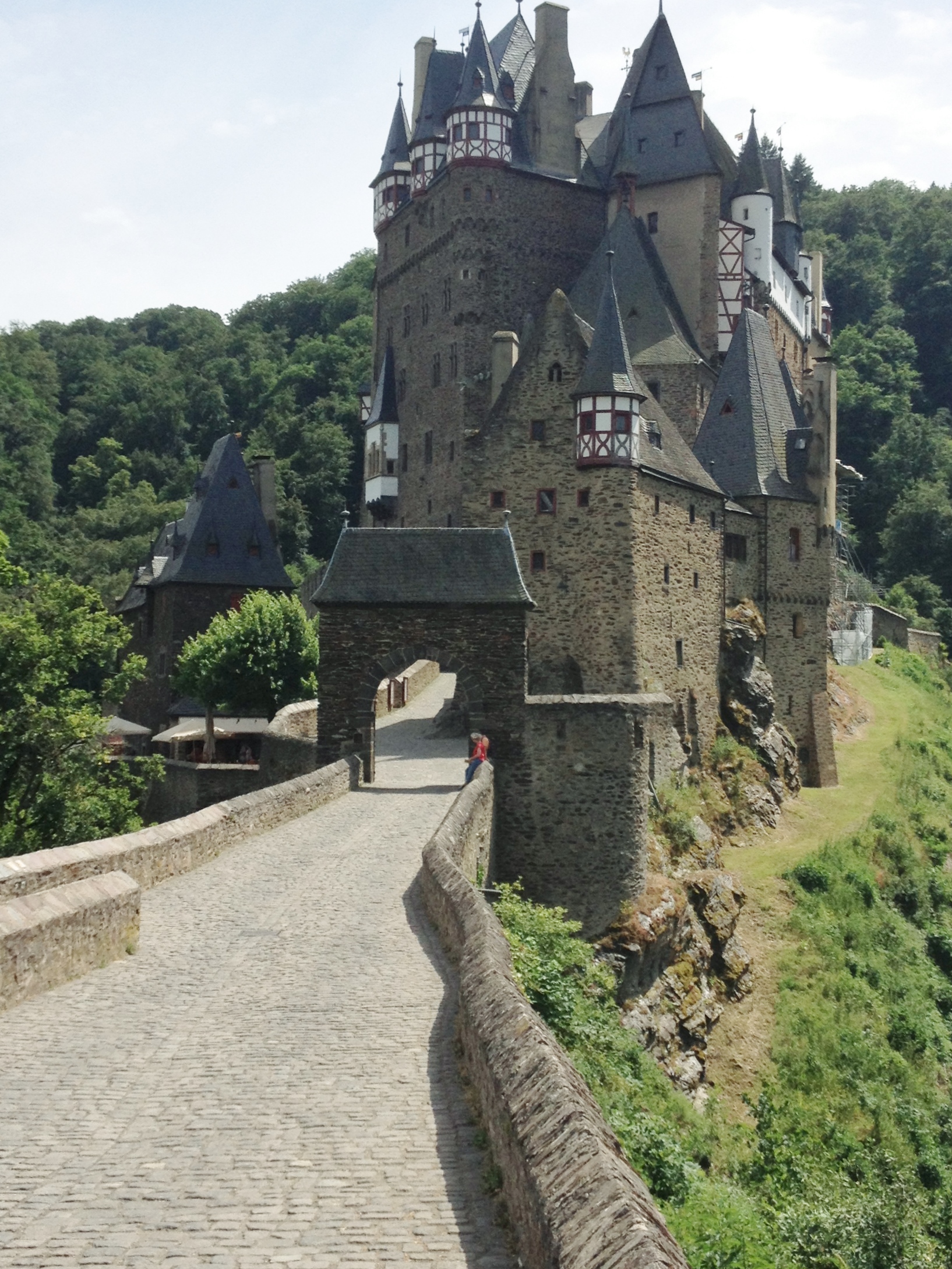 Burg Elz (3)