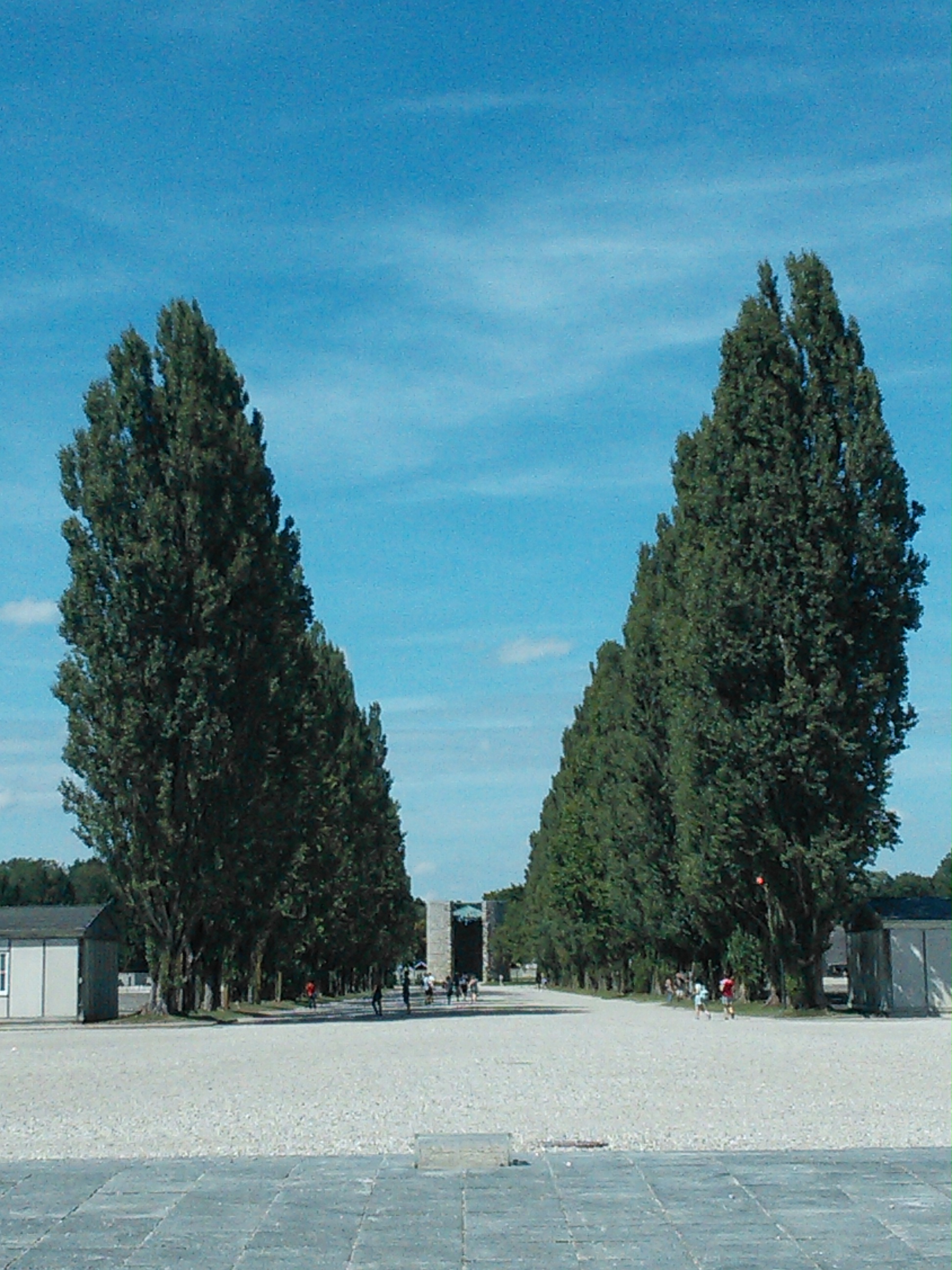 Dachau (9)