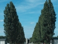 Dachau (9)