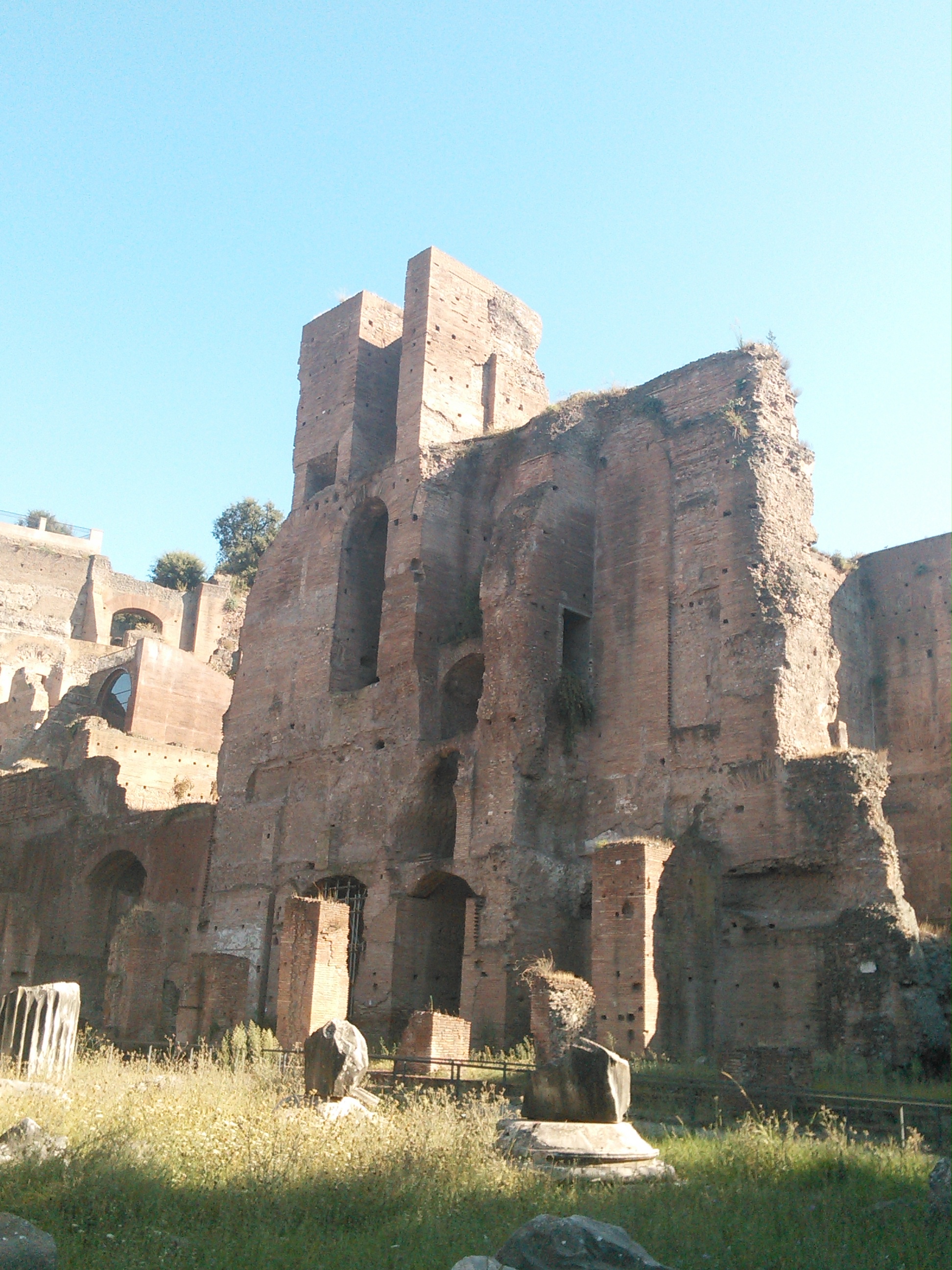 Roman Forum (8)