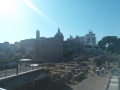 Roman Forum (3)