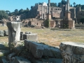 Roman Forum (5)