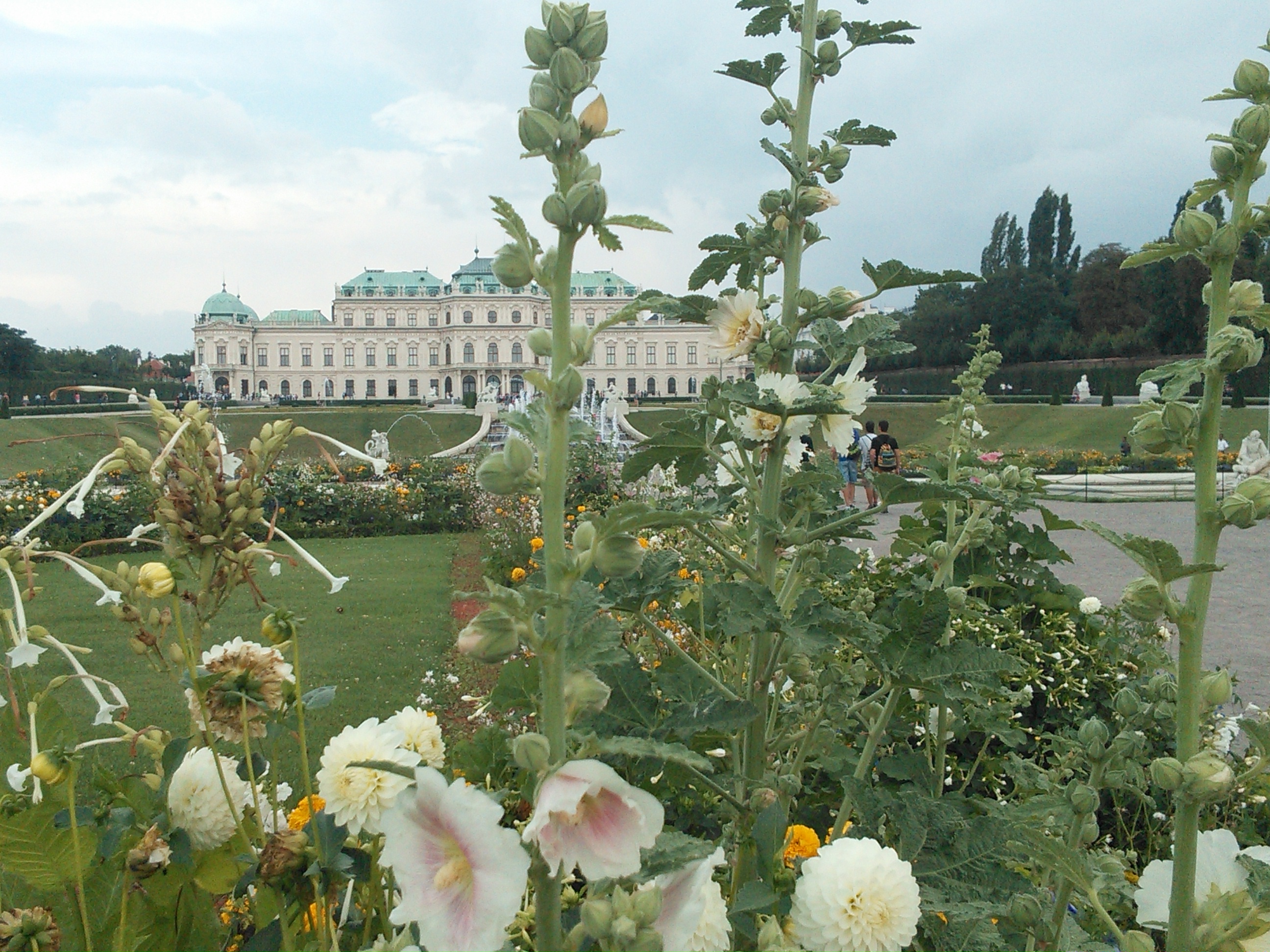 Belvedere Palace (10)