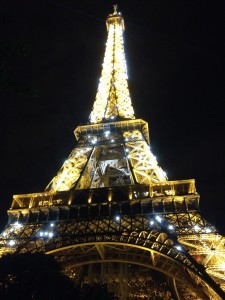 Eiffel Tower at night (3)
