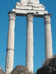 Roman Forum (7)